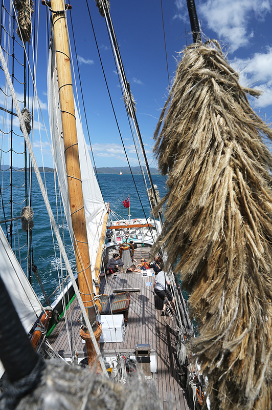 Sail on the R Tucker Thompson, Bay of Islands, NZ